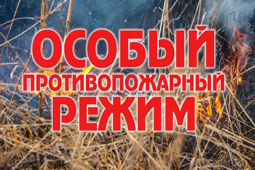 С 7 апреля по 7 июня 2025 года на территории Москаленского муниципального района введён особый противопожарный режим.